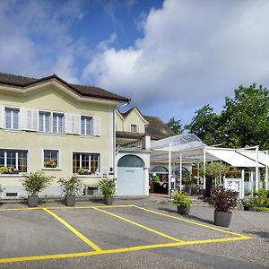 Beinwil Swiss Quality Seehotel Exterior photo