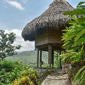 Hotel Ecohabs Bosques Del Tayrona Calabazo  Exterior photo