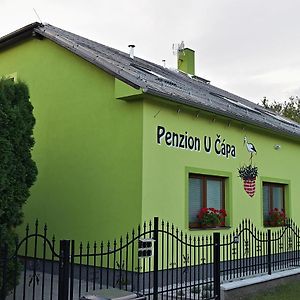 Hotel Penzion u Čápa Příbor Exterior photo