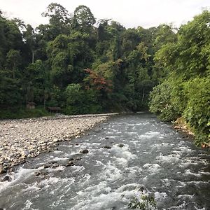 Waterstone Guesthouse Bukit Lawang Exterior photo