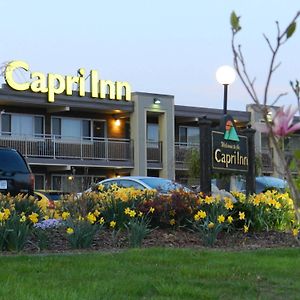 Capri Inn Sainte-Catherine Exterior photo