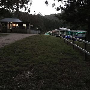 Ingleside Stud Farm Bed and Breakfast Tallebudgera Exterior photo