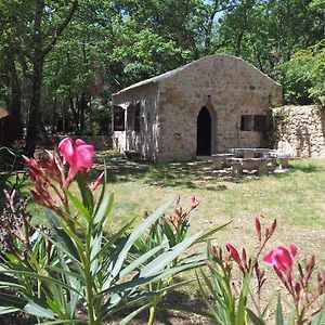 Le Donjon Des Combes Et Son Spa Bed and Breakfast Fayence Exterior photo