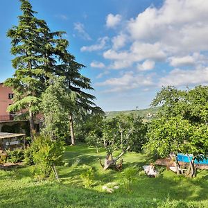 Bacialupo Bed&Breakfast Bed and Breakfast Montecalvo Versiggia Exterior photo