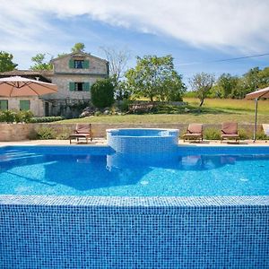 Unique Villa Bosket With Pool And Jacuzzi Surrounded By Nature Vižinada Exterior photo