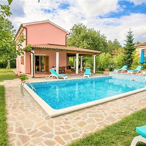 Pleasant Villa Valmonida with Pool, Sauna, Gym&BBQ Žminj Exterior photo