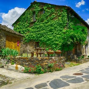 Casa rural El Abejaruco Hostal Campillo de Ranas Exterior photo