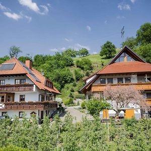 Ferienwohnung Müller Haslach im Kinzigtal Exterior photo