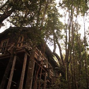 La Casita del Bosque Villa Castro Exterior photo