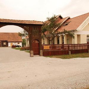 Borsika panzió Bed and Breakfast Ciumani Exterior photo