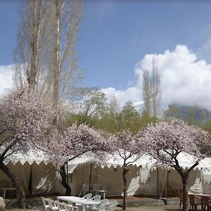 Royal Deluxe Camp - Nubra Bed and Breakfast Exterior photo