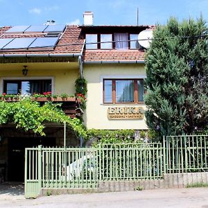 Hotel Erika Vendégház Szentendre Exterior photo