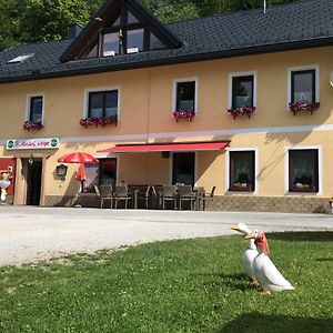 Hotel Gasthof Woelger Admont Exterior photo