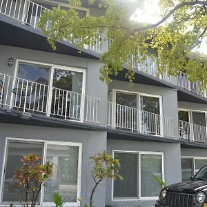 Coconut Grove Apartments Coral Gables Exterior photo