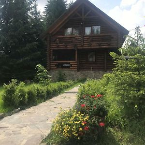 Cottage Karinka Bukovel Exterior photo