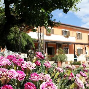 B&B Casale Shanti Piedimonte San Germano Exterior photo