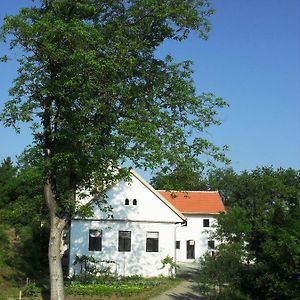 Alte Mühle Kaisersdorf Exterior photo