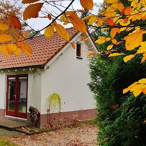 Dennenhuis Villa Vaassen Exterior photo