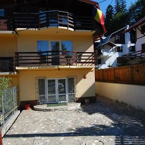 Vila Amira Predeal Exterior photo