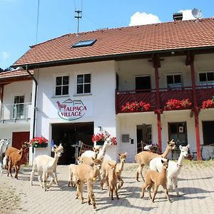 Alpaca-Village Lauterbach  Exterior photo