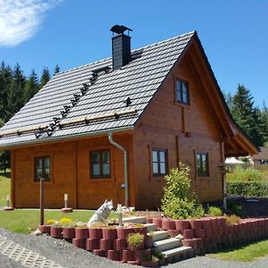 Ferienhaus Wolfs-Revier Villa Drognitz Exterior photo