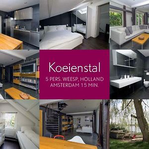 Apartamento Koeienstal, Private House With Wifi And Free Parking For 1 Car Weesp Exterior photo