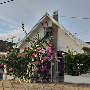 Apartamento Norte Hospedagem Lages Exterior photo