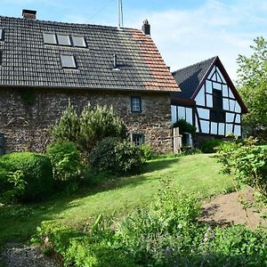 Apartamento Landhaus Am Aremberg / Eifel Antweiler Exterior photo