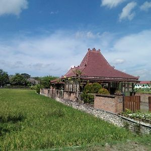 Joglopari Guesthouse Bukan Untuk Pasangan Non Pasutri Bantul Exterior photo
