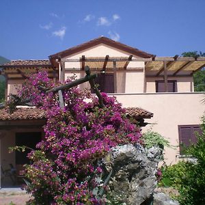 Villa Manatí Maratea Exterior photo
