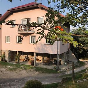 Agroturystyka Kapellanka - Kraina Wygasłych Wulkanów Villa Wojcieszów Exterior photo