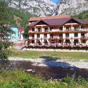 Hotel Pension Camelia Băile Herculane Exterior photo