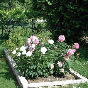 Le Jardin De Roses Dominique Loreau Saint-Bonnet-de-Mure Exterior photo