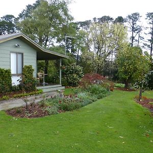 Hotel The Little House On The Hill Healesville Exterior photo