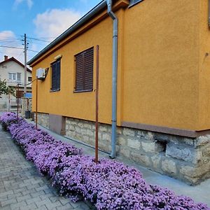 Guesthouse Stojanovic Negotin Exterior photo