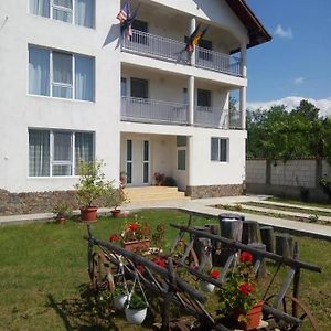 Vila Sima Hostal Călimăneşti Exterior photo
