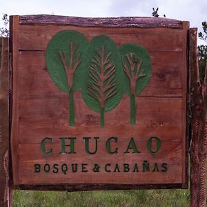 Hotel Chucao Bosque y Cabañas Chaitén Exterior photo