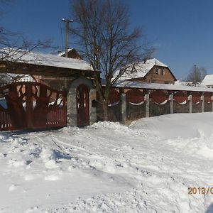 Karpatskiy Domyk Izky Exterior photo