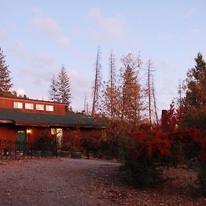 Sunny Pines Cottage Mariposa Exterior photo