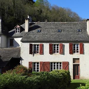 Hotel Gite Chaneü Osse-en-Aspe Exterior photo