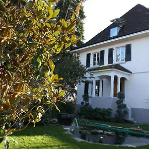 Apartamento Gaestehaus Am Weiher Weil am Rhein Exterior photo