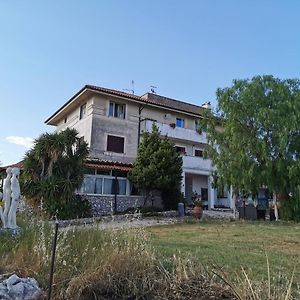 Villa Dei Romani - Country House Guidonia Exterior photo