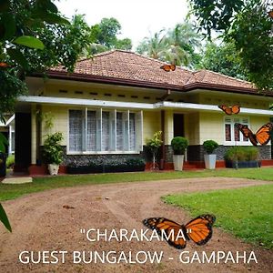 Charakama Guest Bungalow - Gampaha Exterior photo