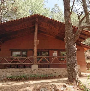 Cabañas Tapalpa Sierra del Tecuan, Cabaña Lince Villa Exterior photo