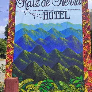 Hotel Raíz de Sierra Matlapa Exterior photo