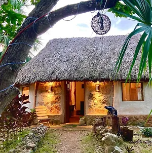 Encantadora Villa Maya Tradicional En Rancho Agroecologico Tzucacab Exterior photo