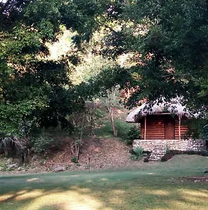 cabins sierraverde huasteca potosina cabaña la ceiba Damian Carmona Exterior photo